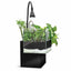 Fluval Kühl black aquaponic nano aquarium with emergent plants growing from the top filter
