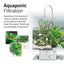 Aquaponic filtration diagram showing live plants naturally cleaning the water in the Kühl nano aquarium