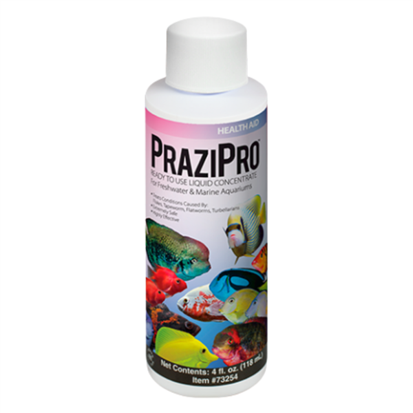 Hikari PraziPro | Liquid Praziquantel for Freshwater & Saltwater Parasites