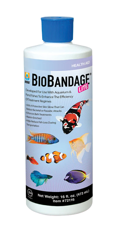 Hikari Bio-Bandage Lite