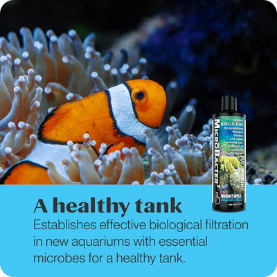 Brightwell Aquatics MicroBacter7 – Complete Bioculture – 250 ml