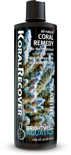 Brightwell Aquatics Koral Recover – Botanical Coral Remedy – 125 ml