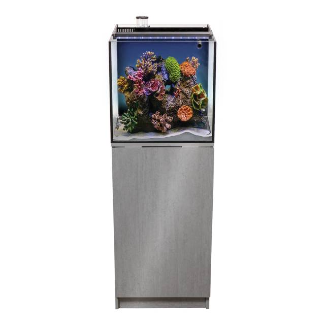 Aquatop Recife ECO reef aquarium stocked with coral on a gray cabinet stand