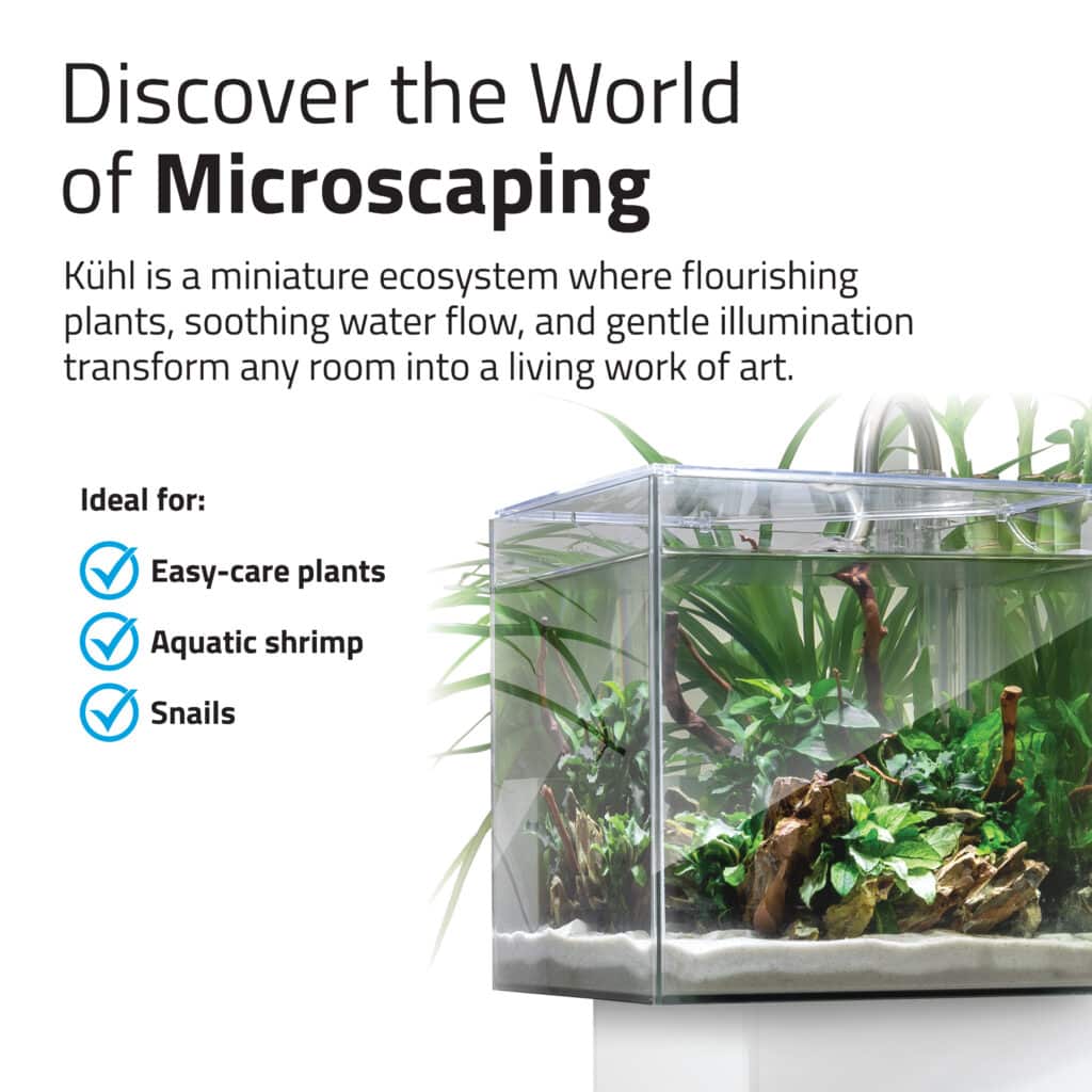 Kühl microscaping infographic, ideal for easy-care plants, shrimp, and snails, beside a planted nano tank