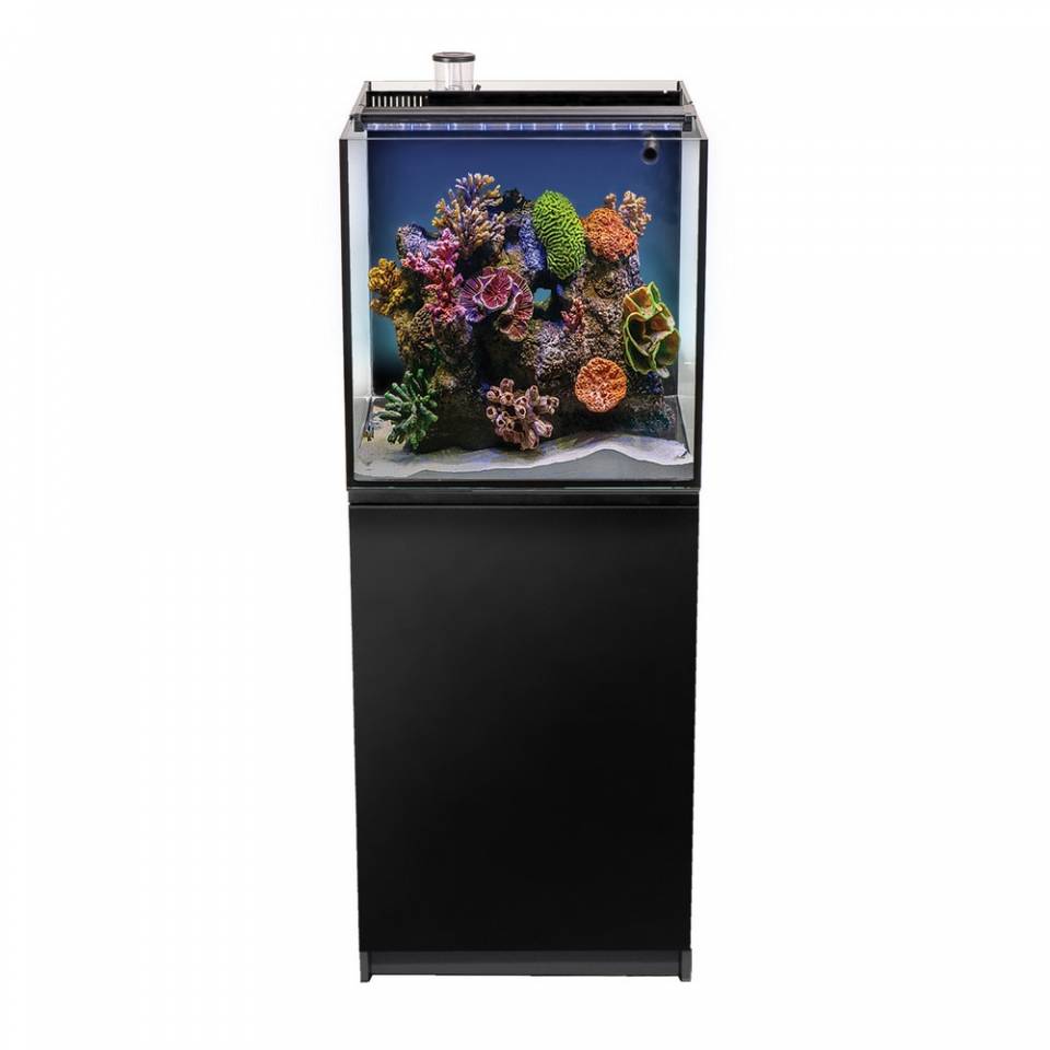 Aquatop Recife ECO reef aquarium on a black cabinet stand, stocked display