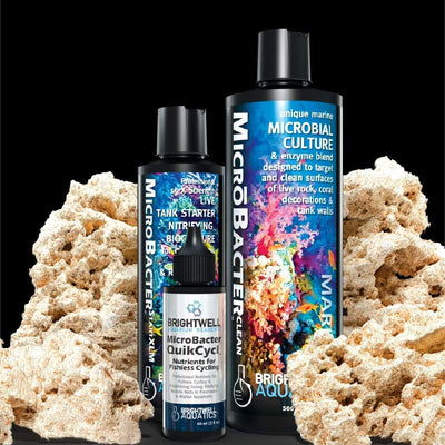 Brightwell Aquatics MicroBacter Dry Rock Bacteria Starter Kit – QuikCycl + Start XLM + Clean – Up to 100 gal