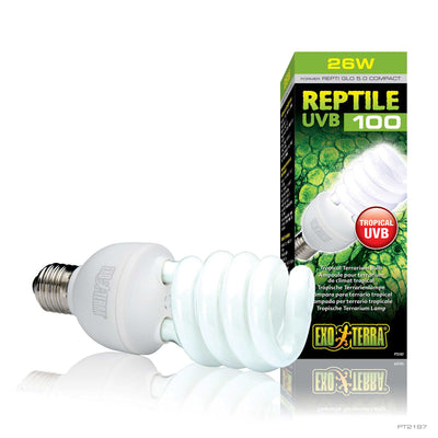 Exo Terra Reptile UVB100 compact fluorescent terrarium bulb, close-up of the coiled lamp