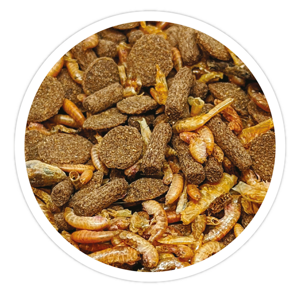 Close up of Reptile Systems Turtle Mix, whole dried fish, shrimp, and fortified sticks for turtles
