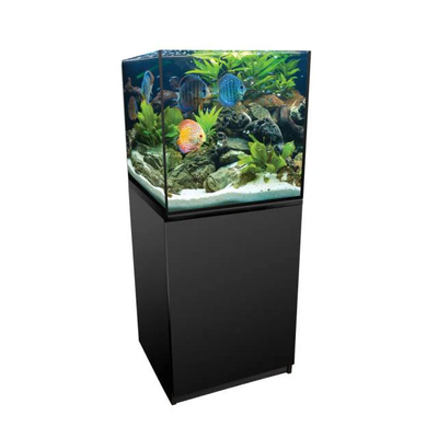 Aquatop Forza 40 gallon cube aquarium kit shown on its stand (stand sold separately)
