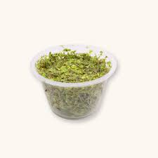 Duckweed (Lemna minor) portion cup of live floating freshwater aquarium plant