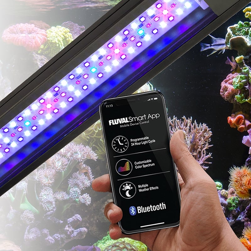 FluvalSmart app on a phone controlling the Marine 3.0 Bluetooth LED over a reef aquarium