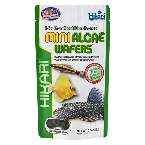 Hikari Mini Algae Wafers spirulina food for small plecos and shrimp
