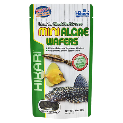 Hikari Mini Algae Wafers spirulina food for small plecos and shrimp