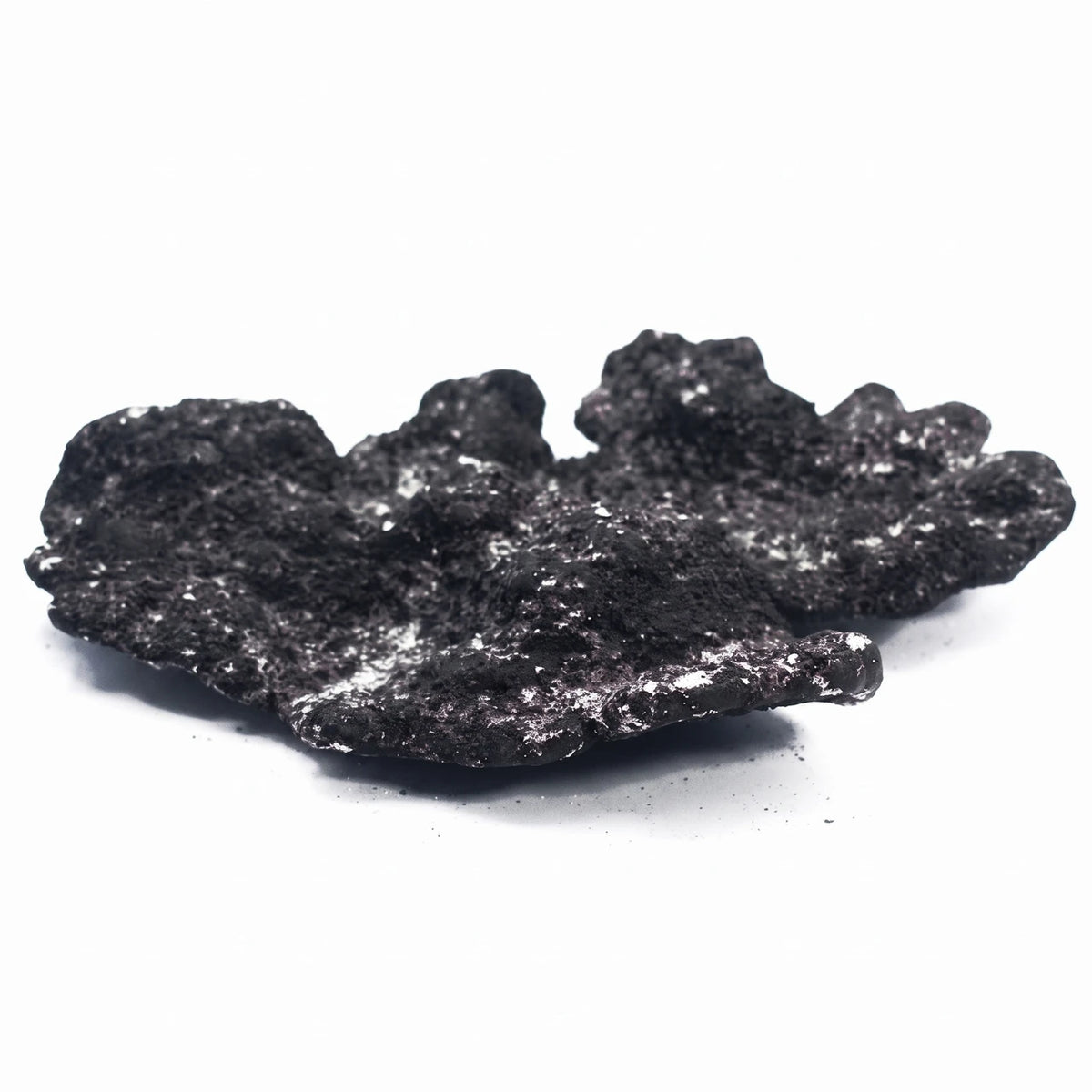 Real Reef Midnight Shelf Rock, black aquacultured flat plates and slabs
