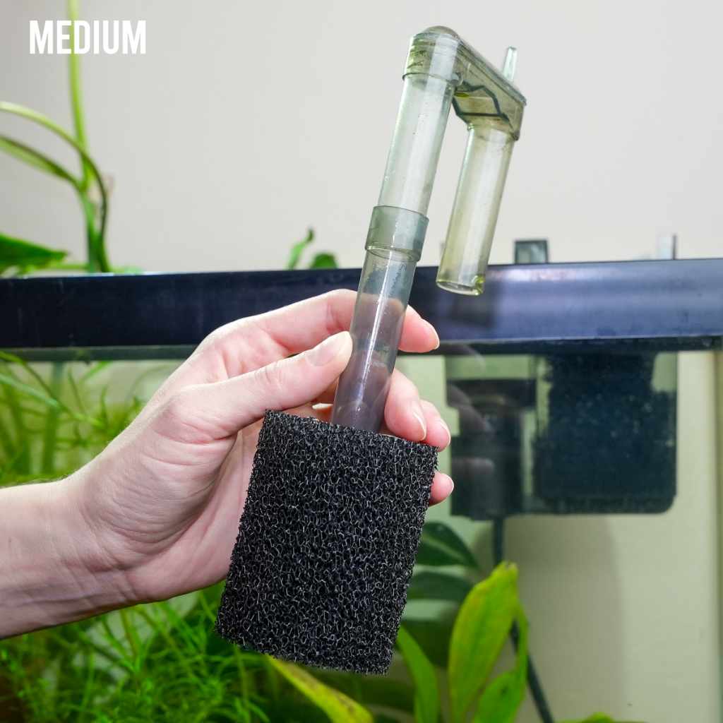 Medium pre-filter sponge being fitted over a filter intake tube
