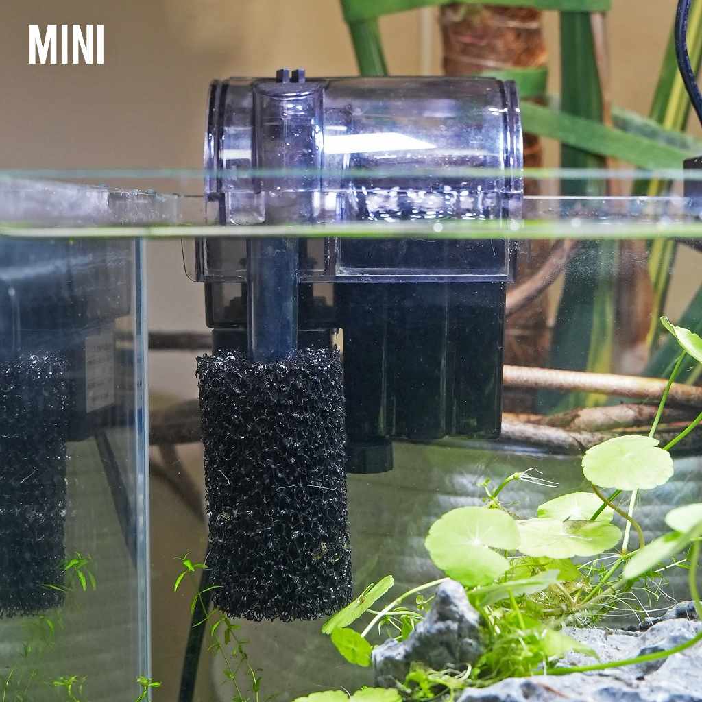 Mini pre-filter sponge fitted to a hang-on-back filter intake on a nano aquarium