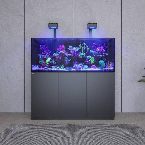 Red Sea REEFER G3+ series product video