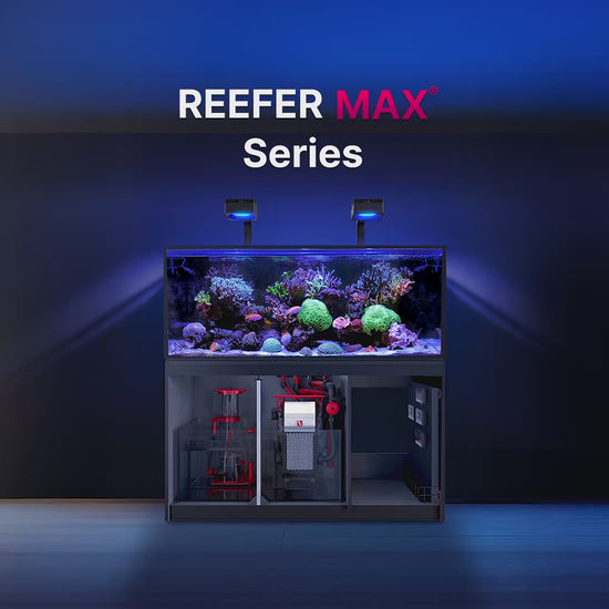 Red Sea REEFER MAX G3+ series product video