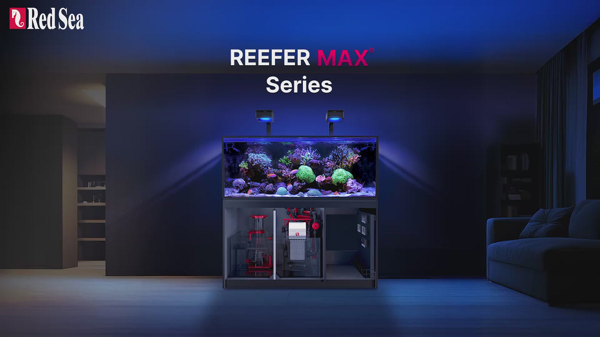Red Sea REEFER MAX G3+ series product video