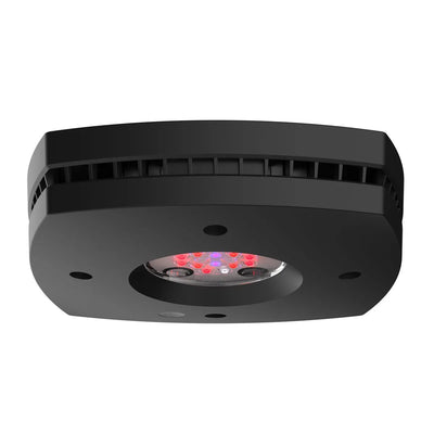AquaIllumination – Prime 16 LED Fuge – Black Body