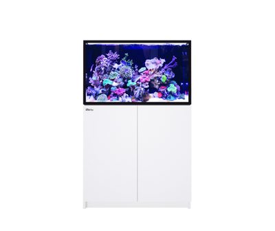 Red Sea REEFER 300 G3+ aquarium system with white cabinet