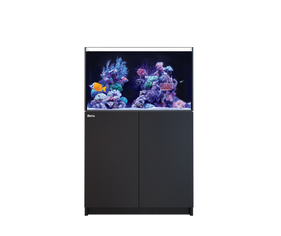 Red Sea REEFER 250 G3 Aquarium System - Black cabinet