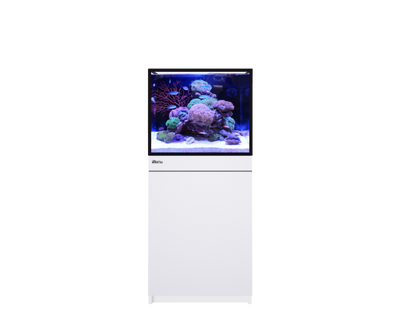 Red Sea REEF-FRAME 170 Aquarium System (36 Gal) with White cabinet