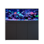 Red Sea REEF-FRAME 500 Aquarium System (107 Gal) with Black cabinet
