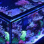 Red Sea REEF-FRAME eurobraced ultra-clear glass