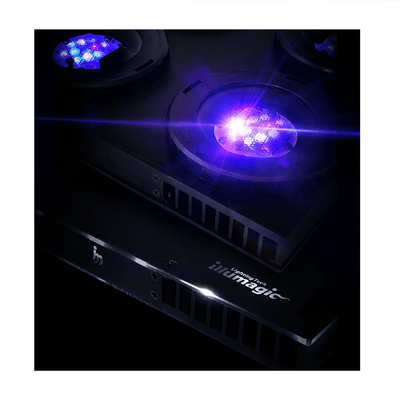 Illumagic X4 Reefer Pro reef LED light with violet-spectrum clusters illuminated