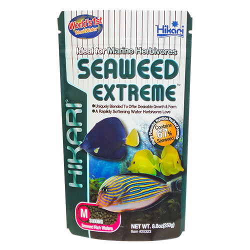 Hikari Seaweed Extreme 67% seaweed pellet for marine herbivores like tangs