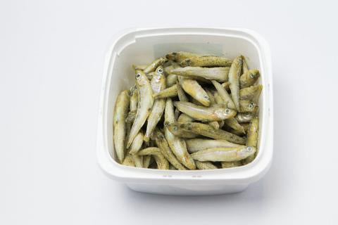 Pro Salt IQF Silversides, individually frozen whole feeder fish