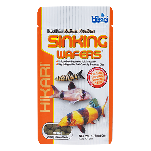 Hikari Sinking Wafers for corydoras, loaches, and freshwater bottom feeders