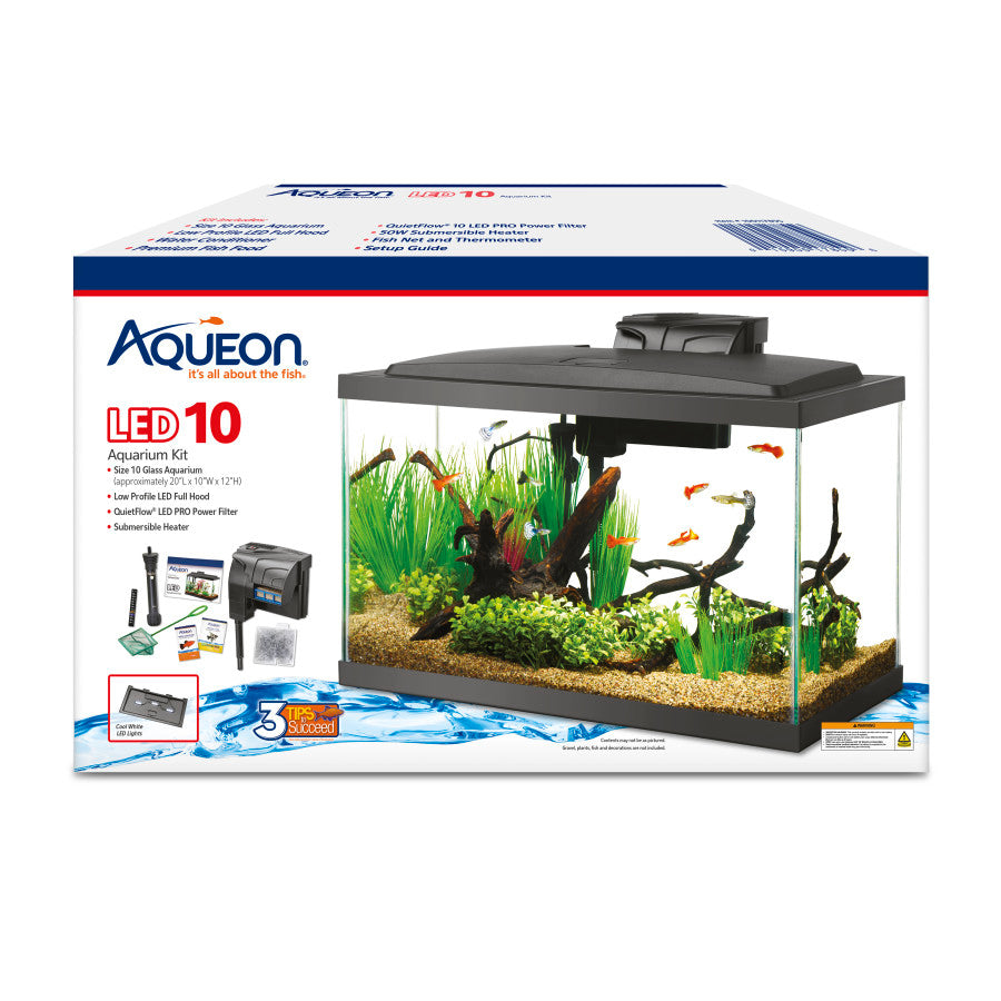 Aqueon 10 gallon aquarium starter kit with LED and filter