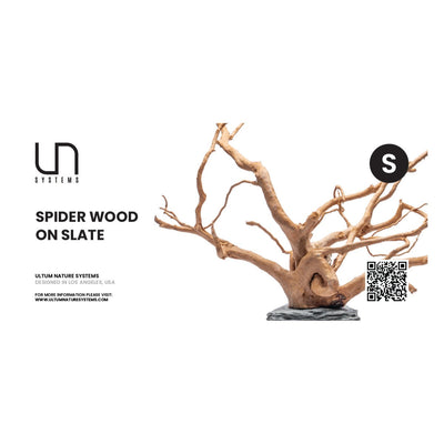 UNS Spider Wood on Slate, Small (8-12 in), spider wood pre-anchored on a slate base